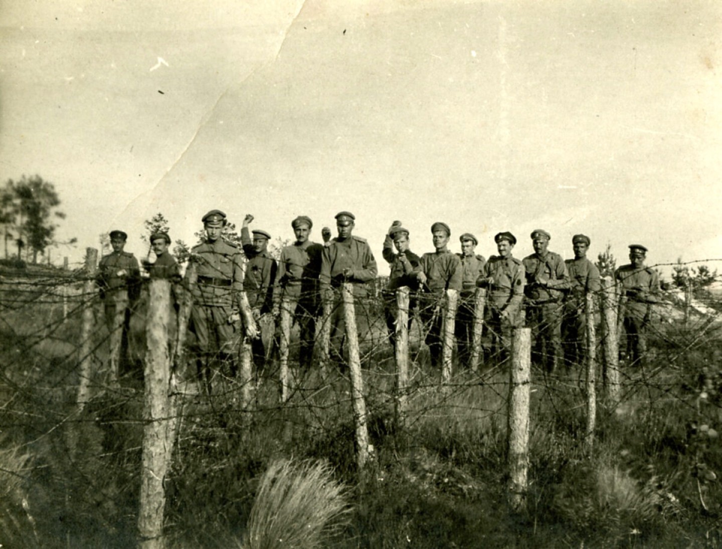 Daugavgrīvas latviešu strēlnieku pulka strēlnieki pozīcijās pie dzeloņdrāšu aizžogojumiem. Tīreļpurva rajons, 1917.g.